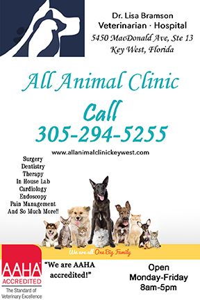 All Animal Clinic