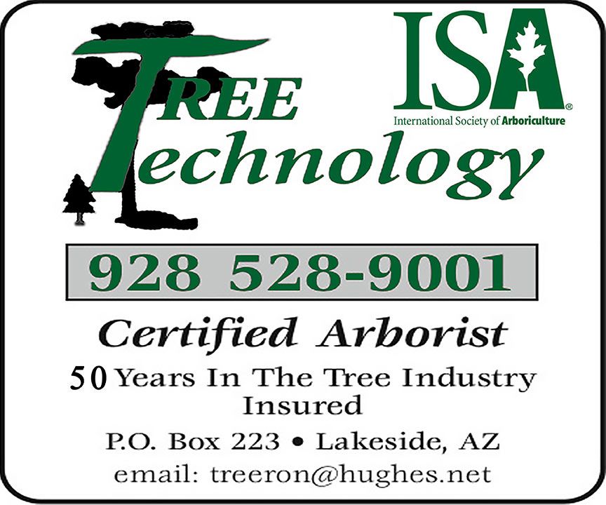 Tree Technology