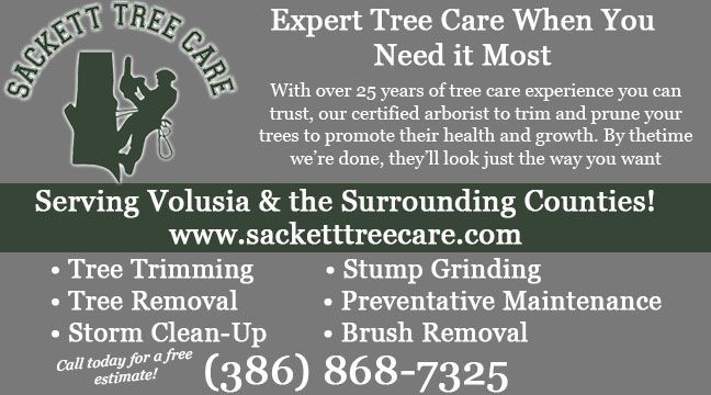 Sackett Tree Care