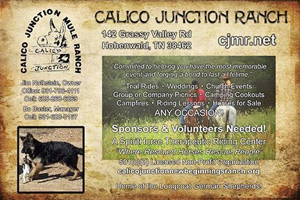 Calico Junction