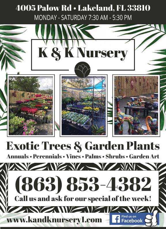 K & K Nursery