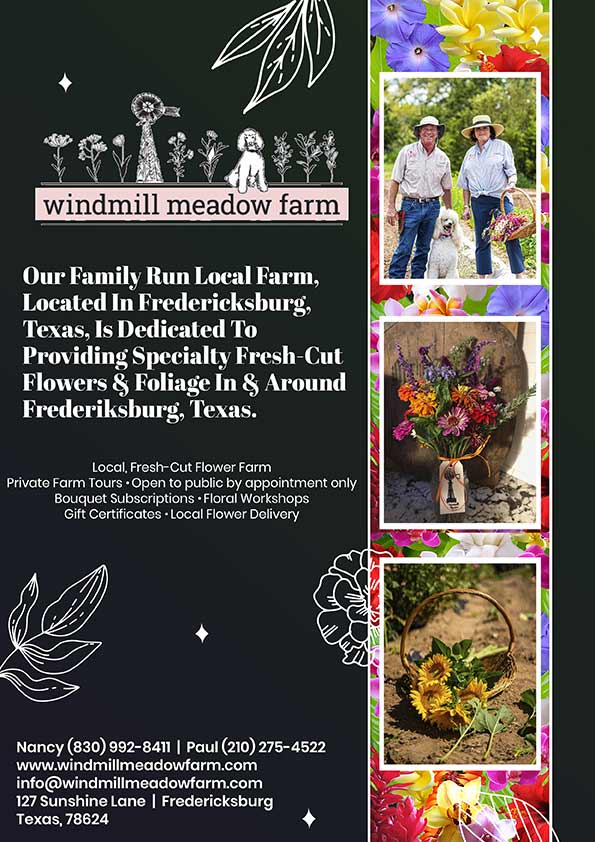 Windmill Meadow Farm