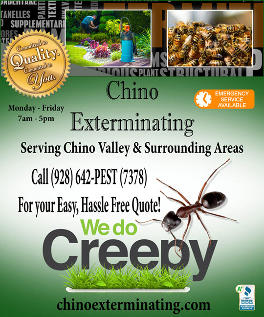Chino Exterminating