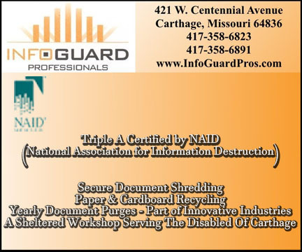 InfoGuard Professionals