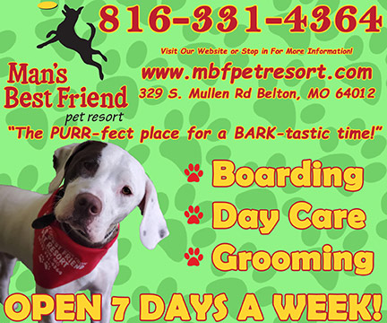 Man’s Best Friend Pet Resort