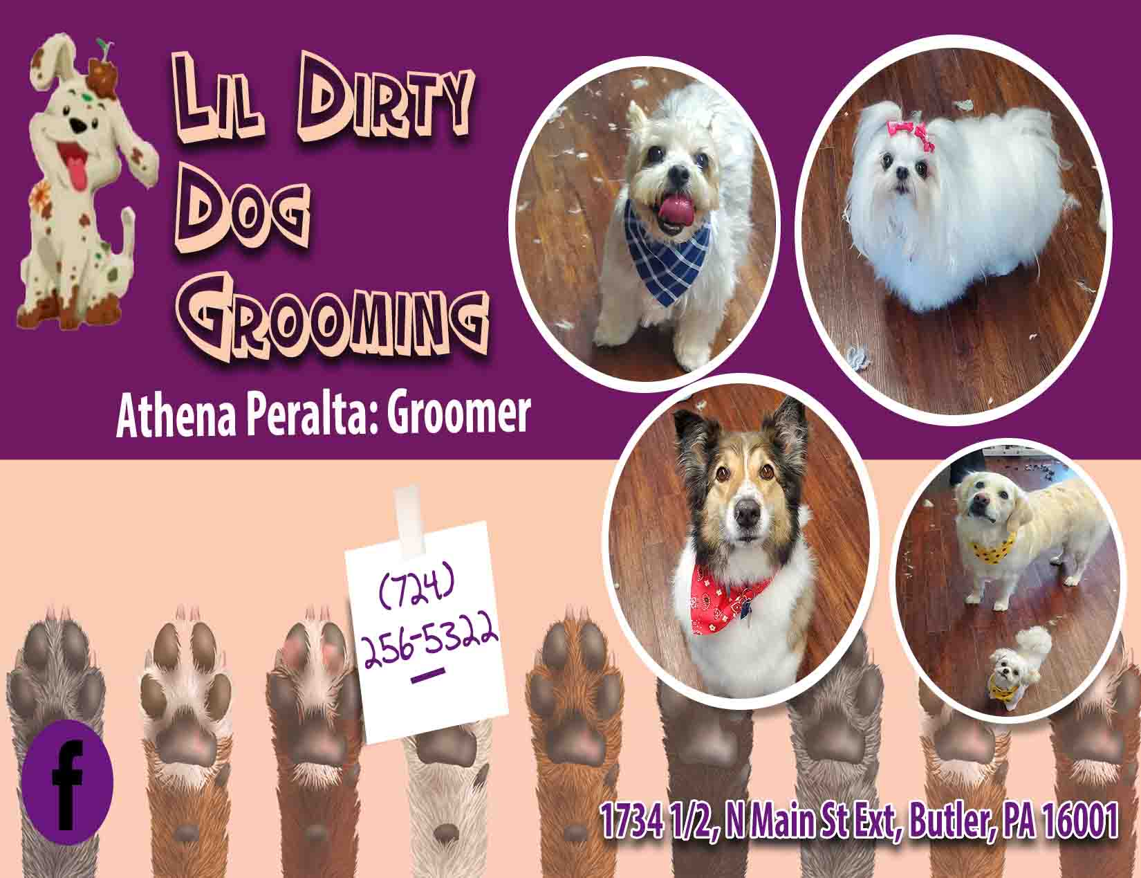 Lil Dirty Dog Dog Grooming LLC