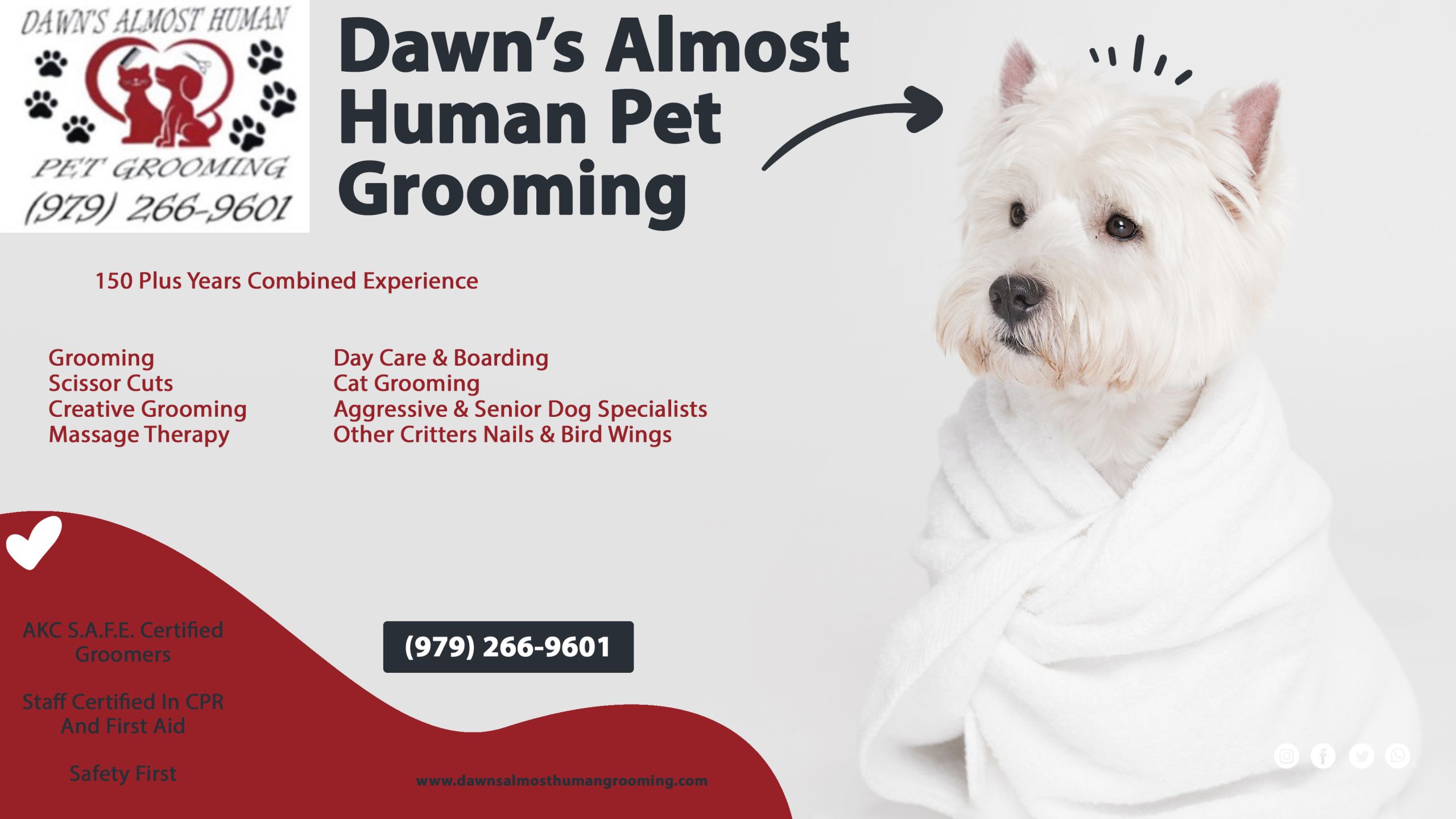 Dawn’s Almost Human Pet Grooming