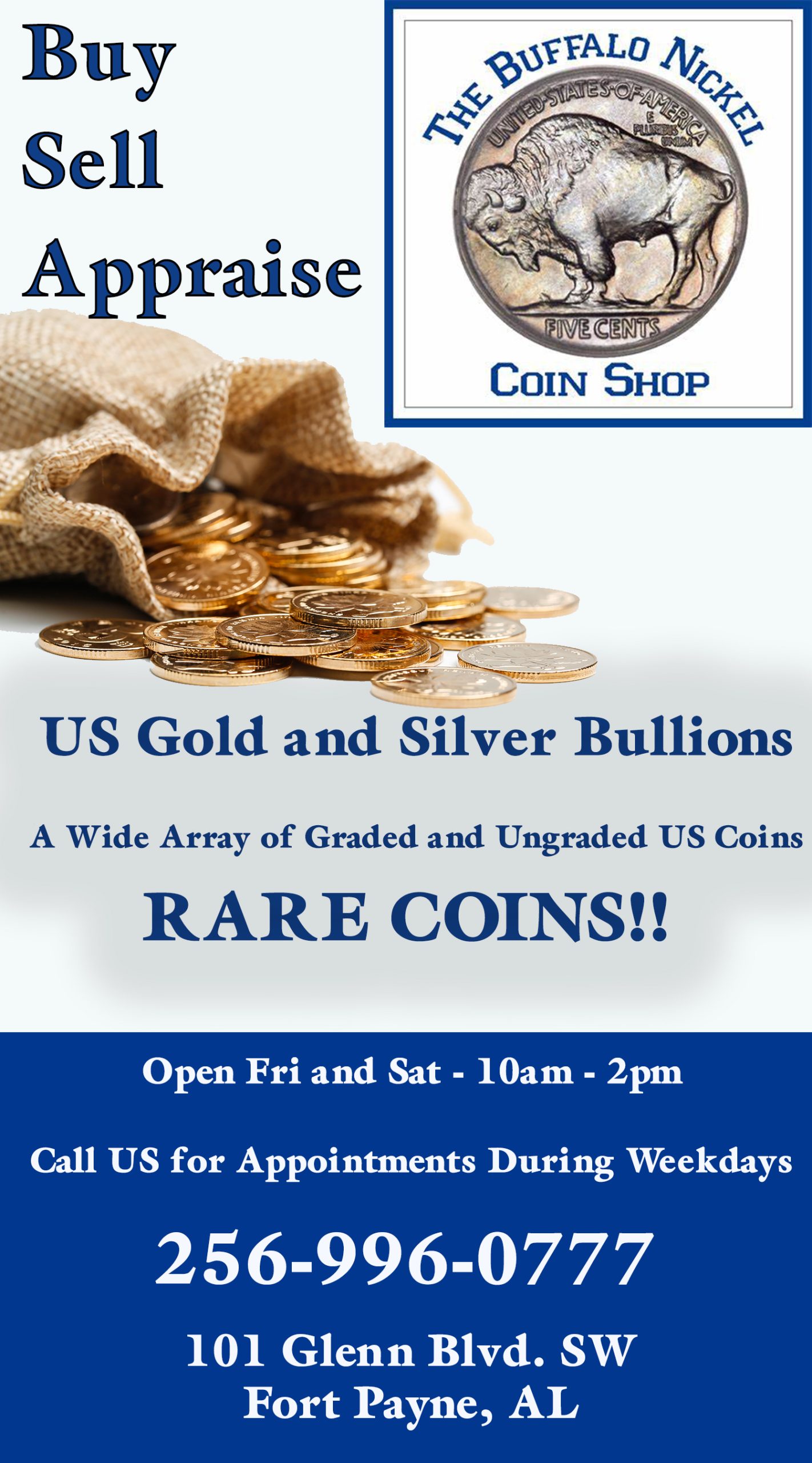 Buffalo Nickle Coins