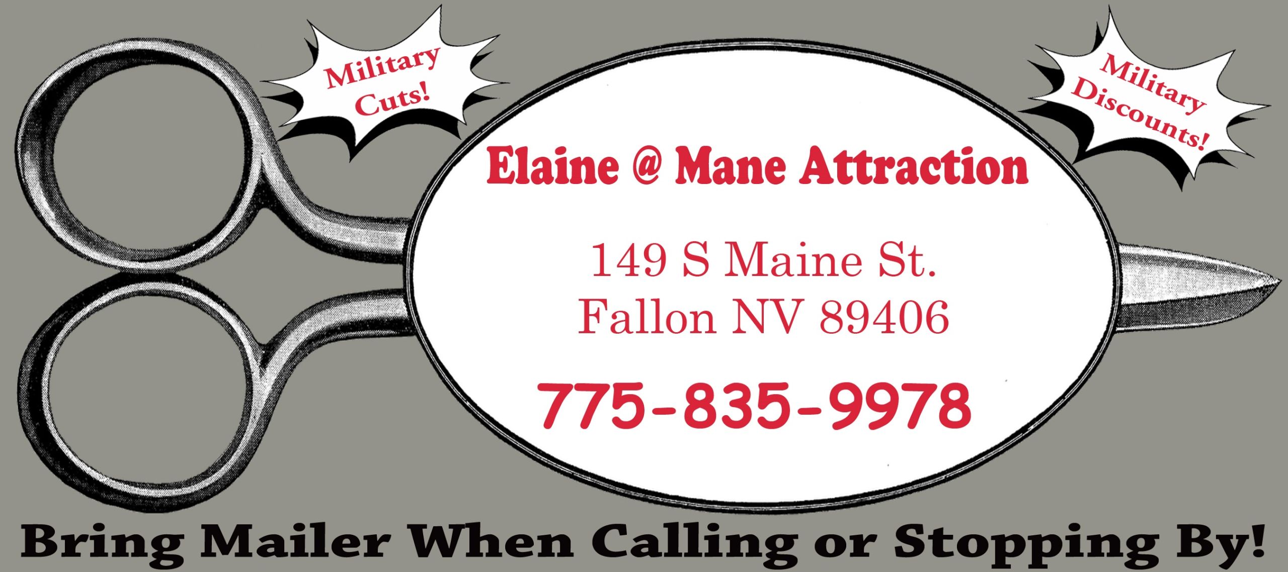 Elaine @ Mane Attraction