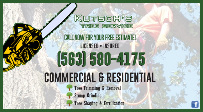 Kutsch’s Tree Service