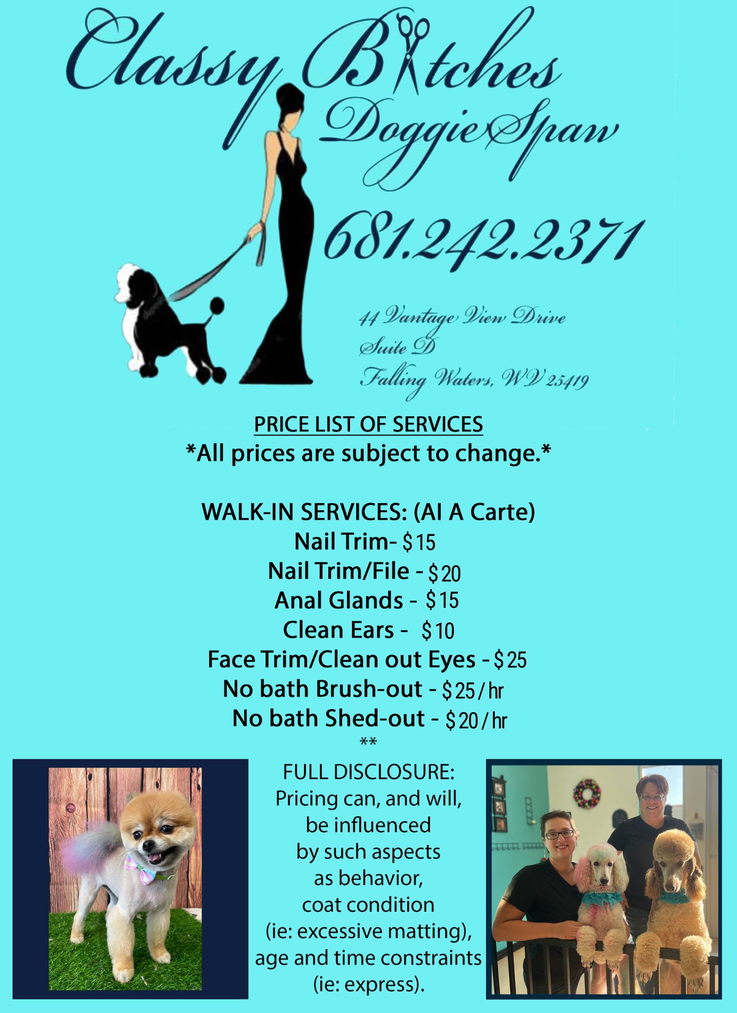 Classy Bitches Doggie Spaw LLC