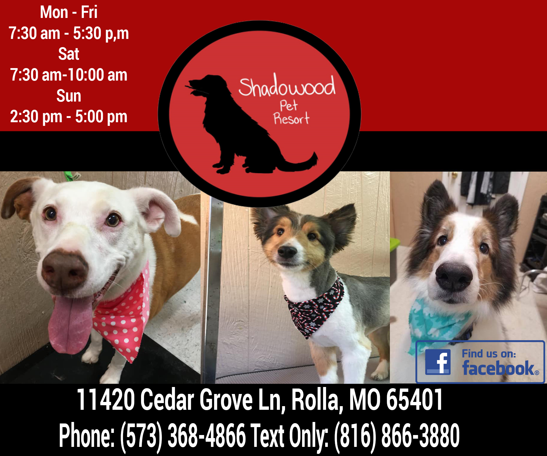 Shadowood Pet Resort