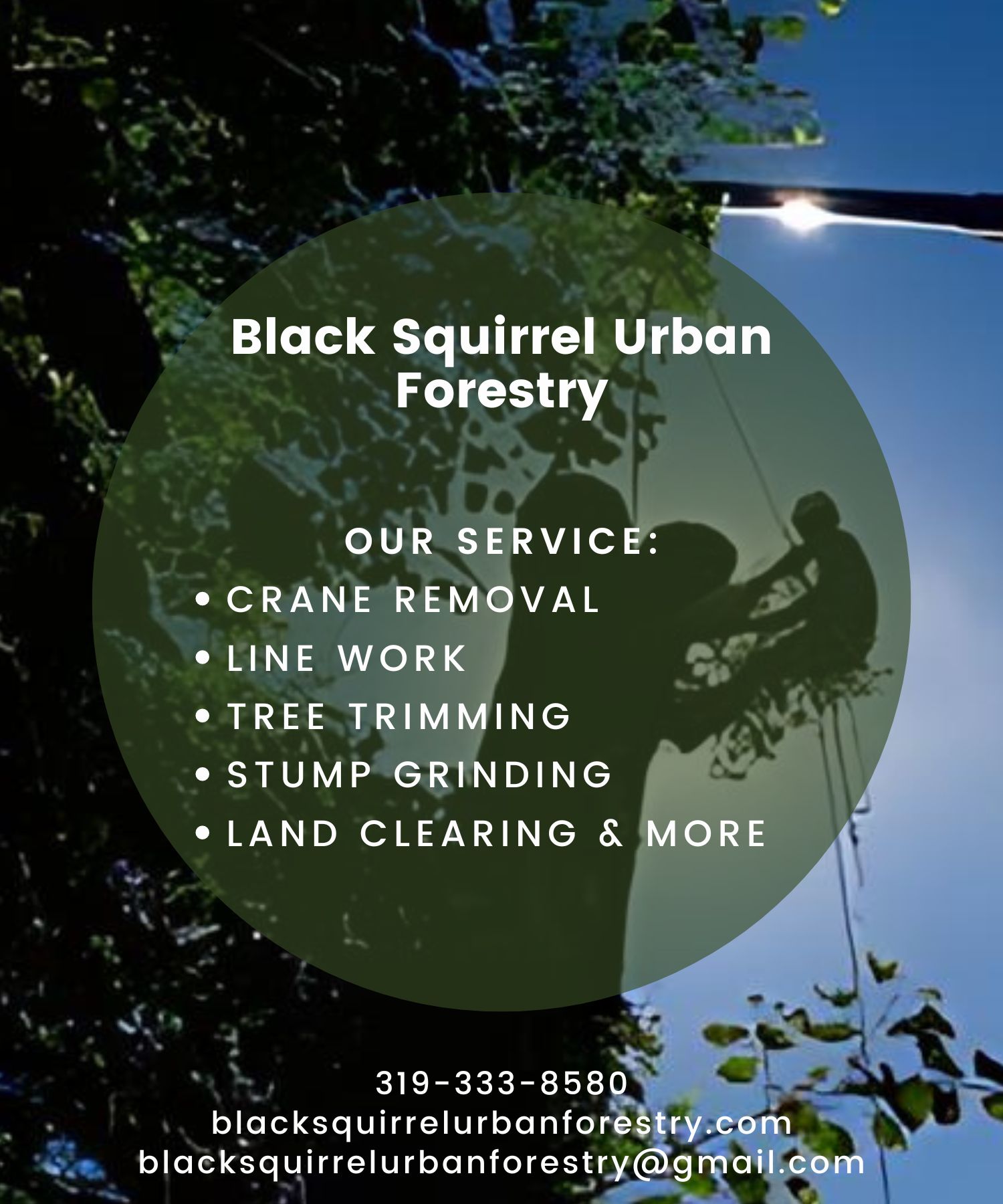 Black Squirrel Urban Forestry