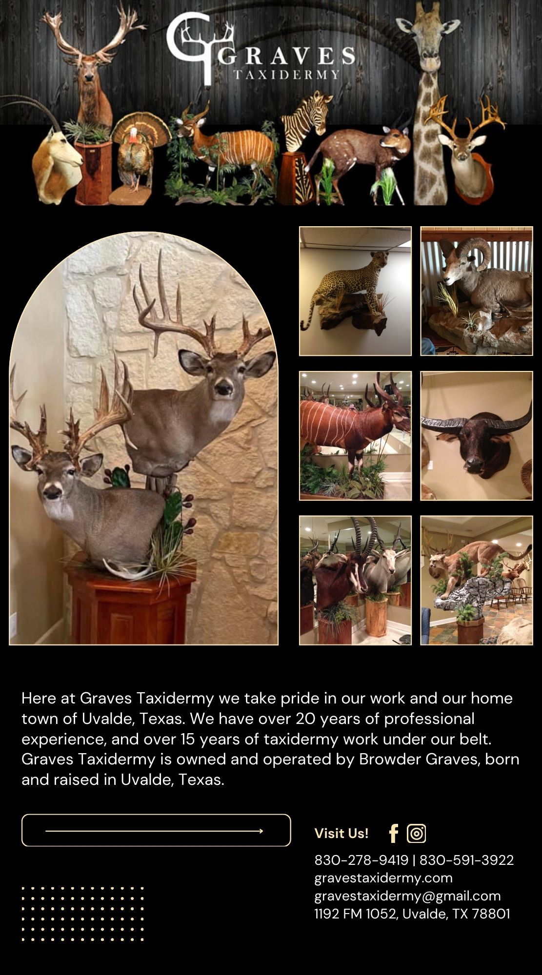 Graves Taxidermy