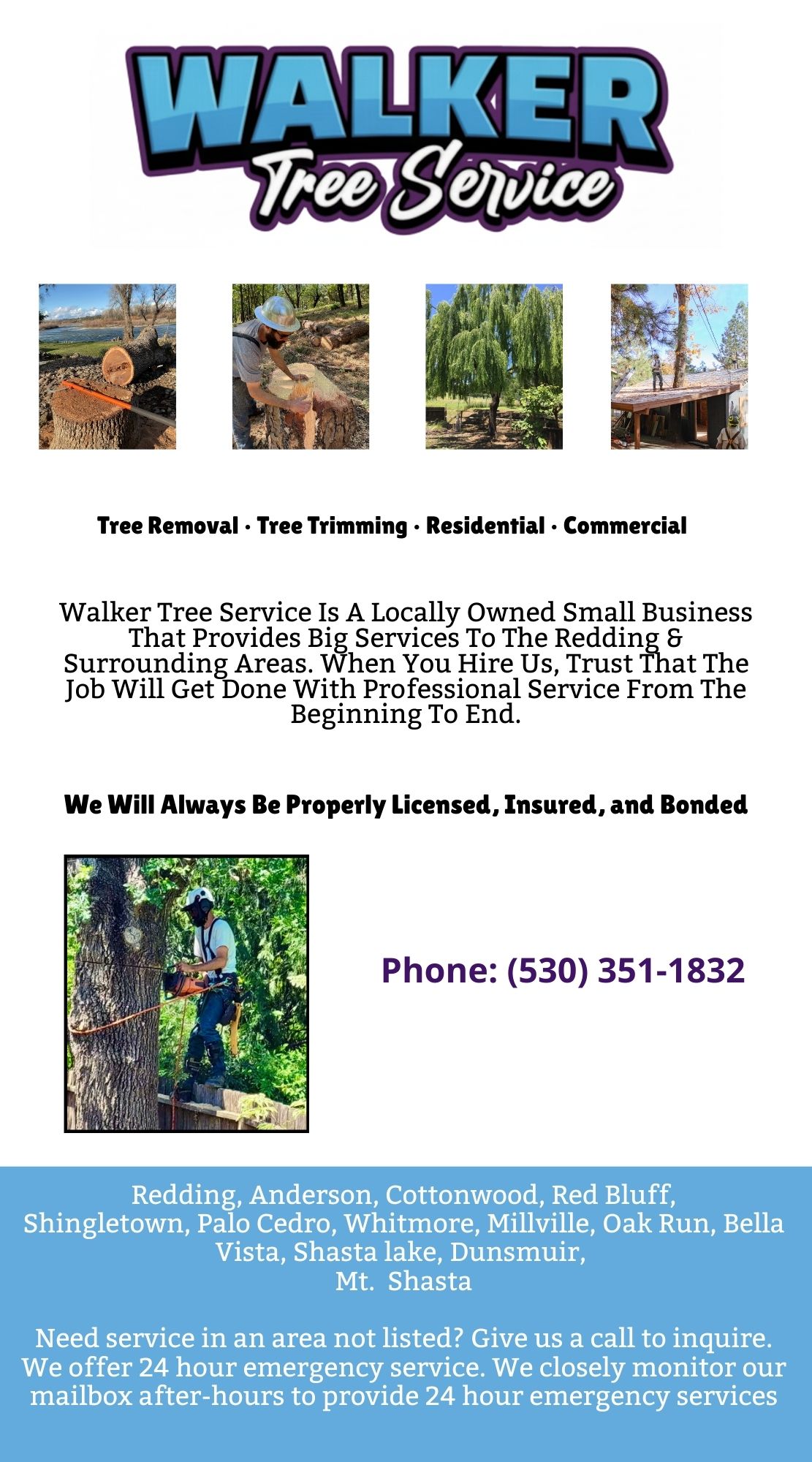Walker Tree Service
