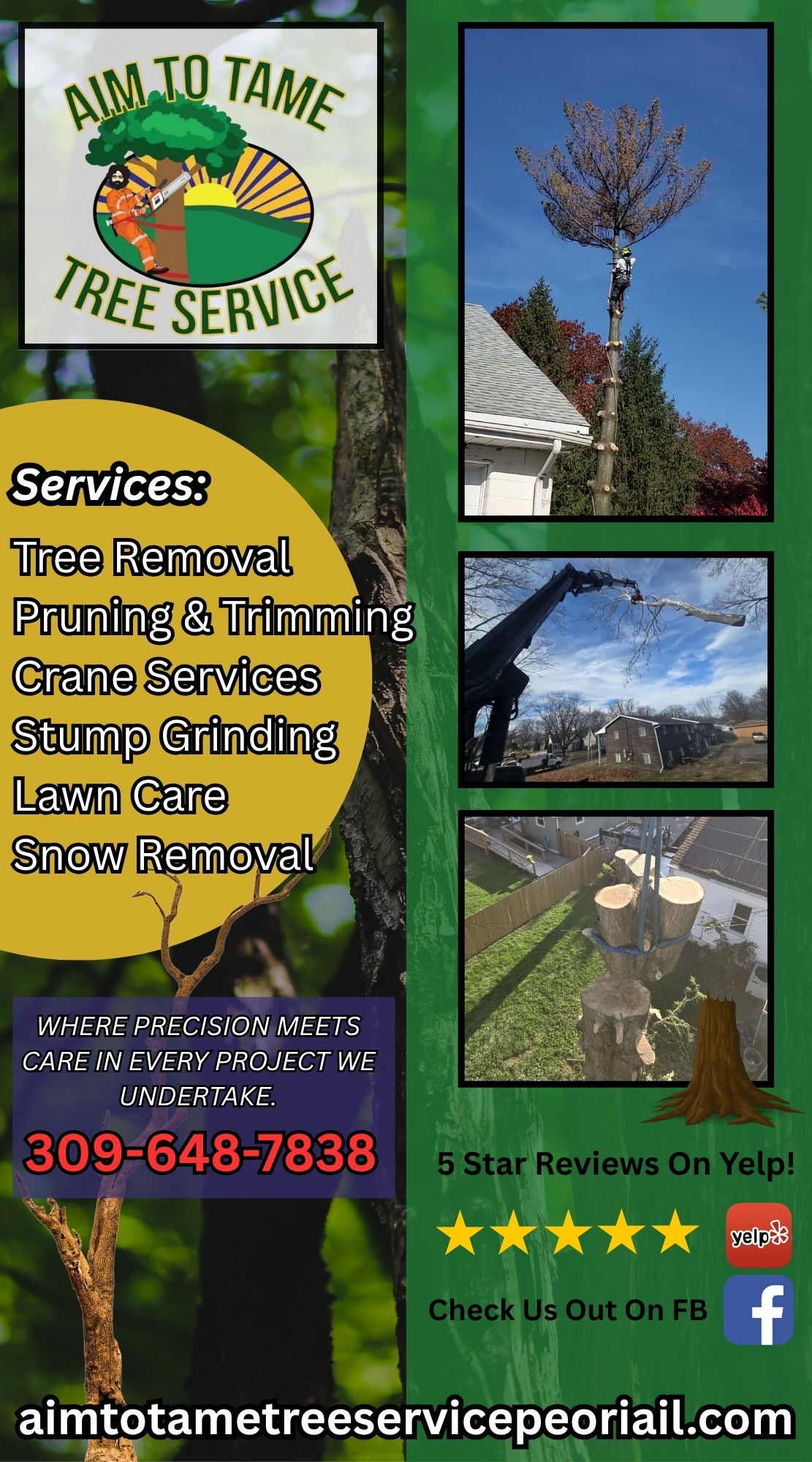 Aim To Tame Tree Service