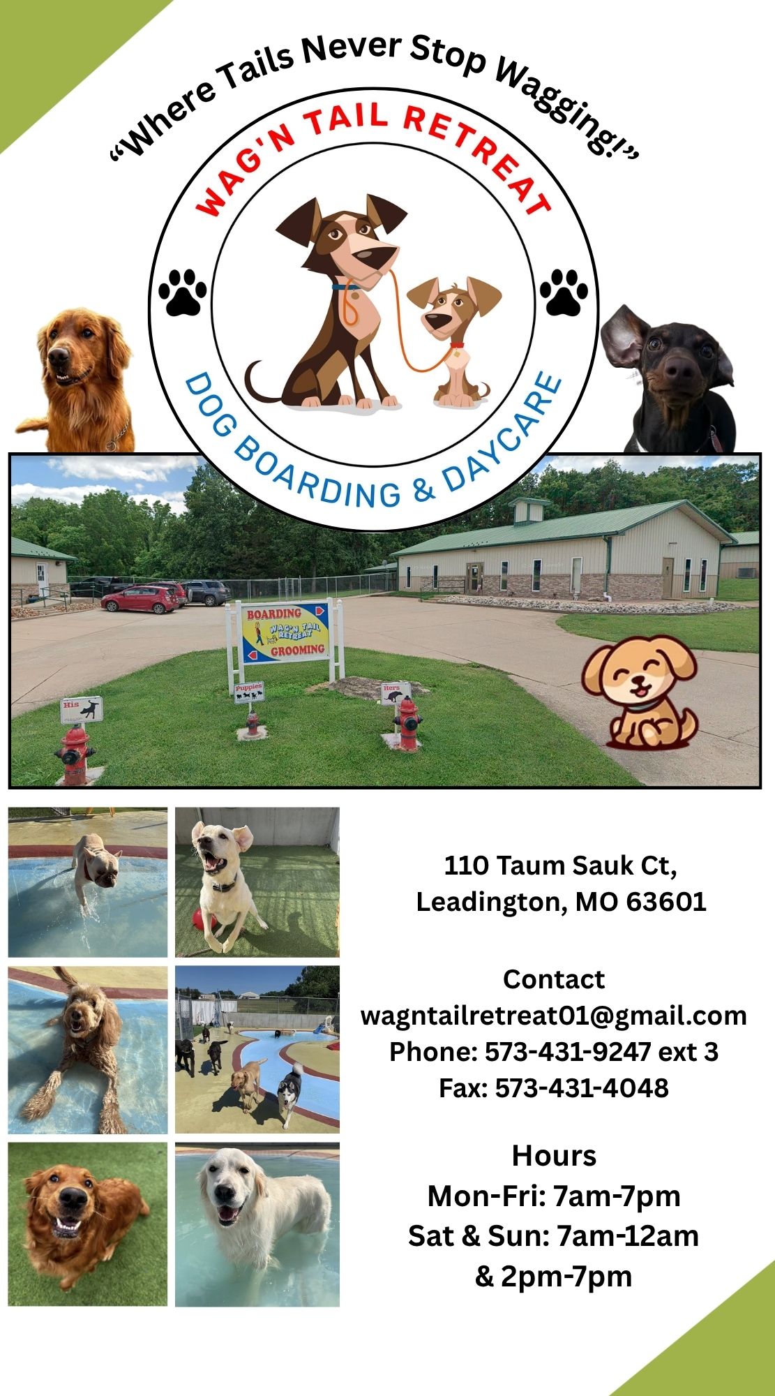 Wag N Tail Retreat