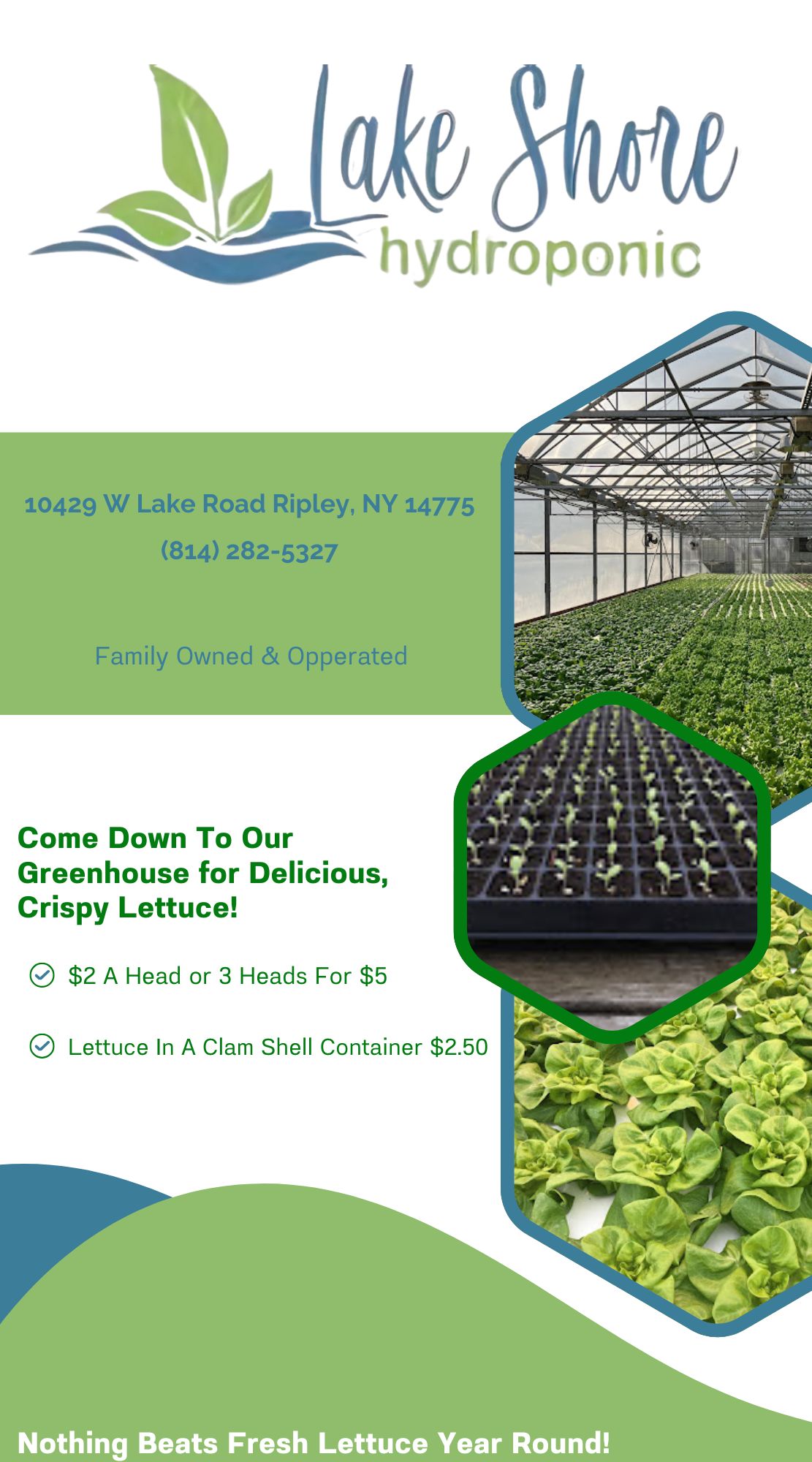 Lake Shore Hydrophonic