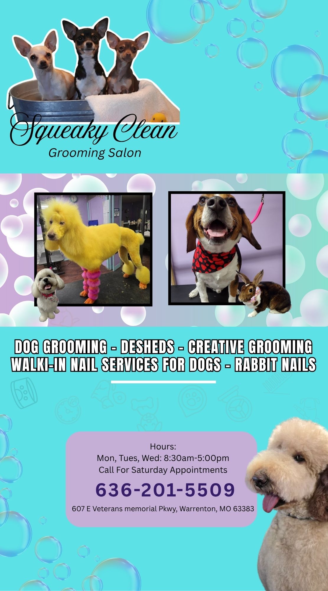 Squeaky Clean Grooming