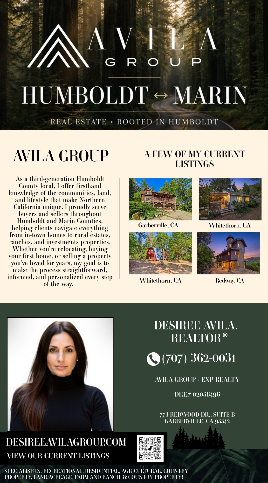 Avila Group