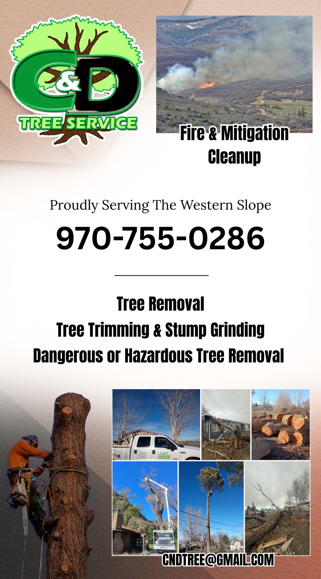 C & D Tree Service