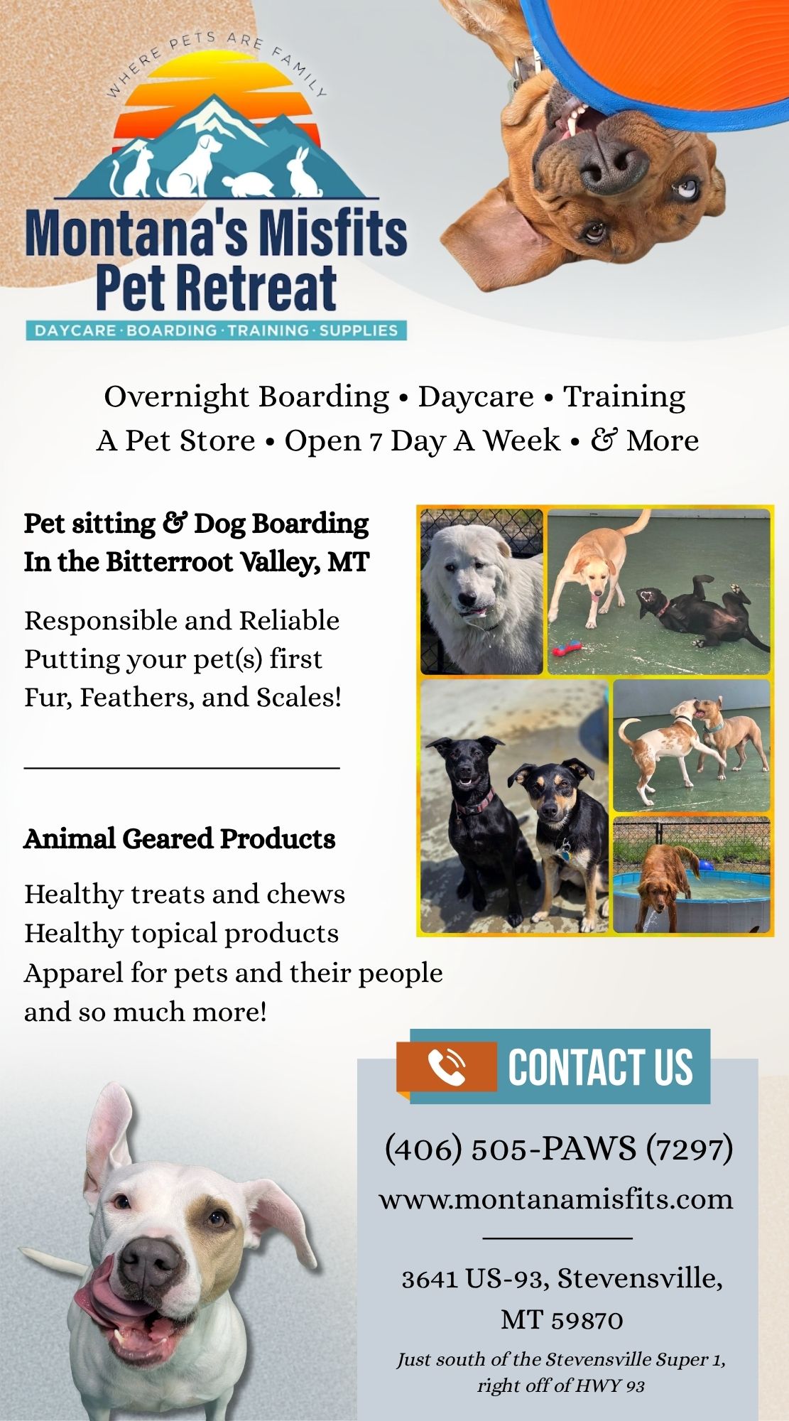 Montana’s Misfits Pet Retreat